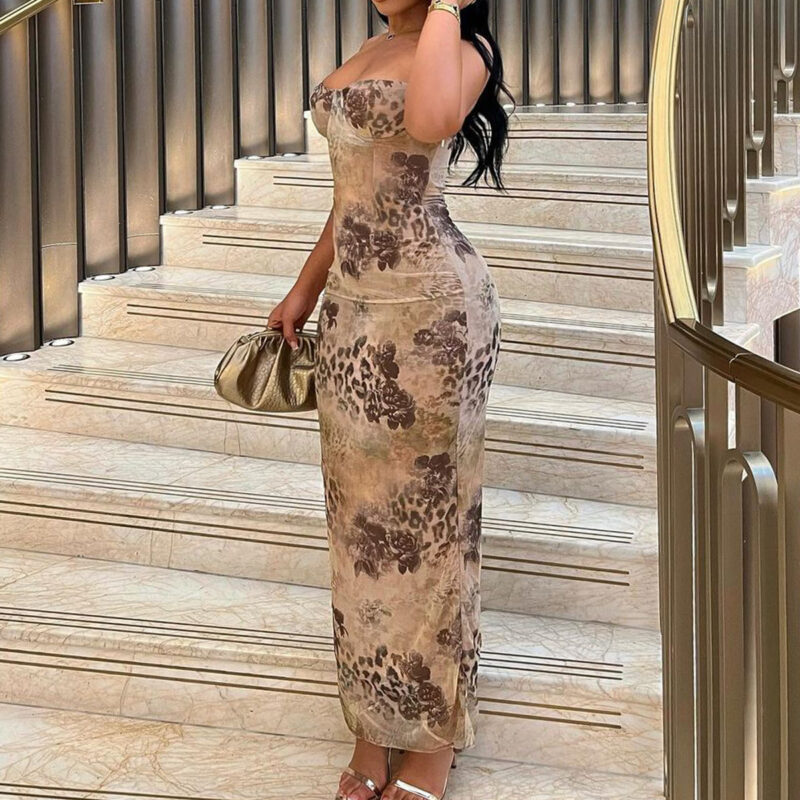Sheer Mesh Printed Maxi Dress | Elegant Backless Evening Gown