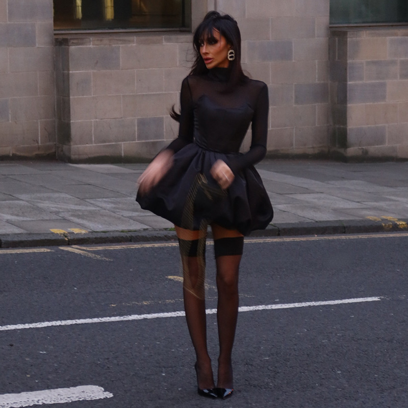 Sexy Mesh Long Sleeve Mini Dress