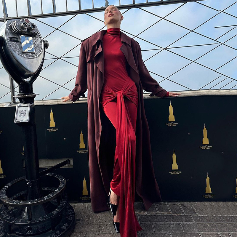 Half-High Neck Long Sleeve Maxi Dress